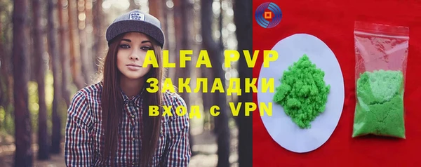 гашик Арсеньев