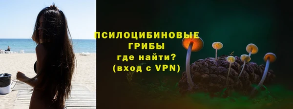 гашик Арсеньев