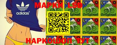 индика Пугачёв