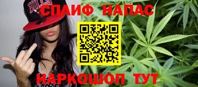 индика Пугачёв