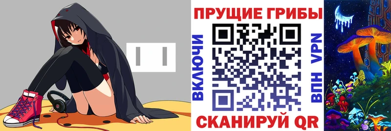 сколько стоит  Сухой Лог  Галлюциногенные грибы GOLDEN TEACHER 