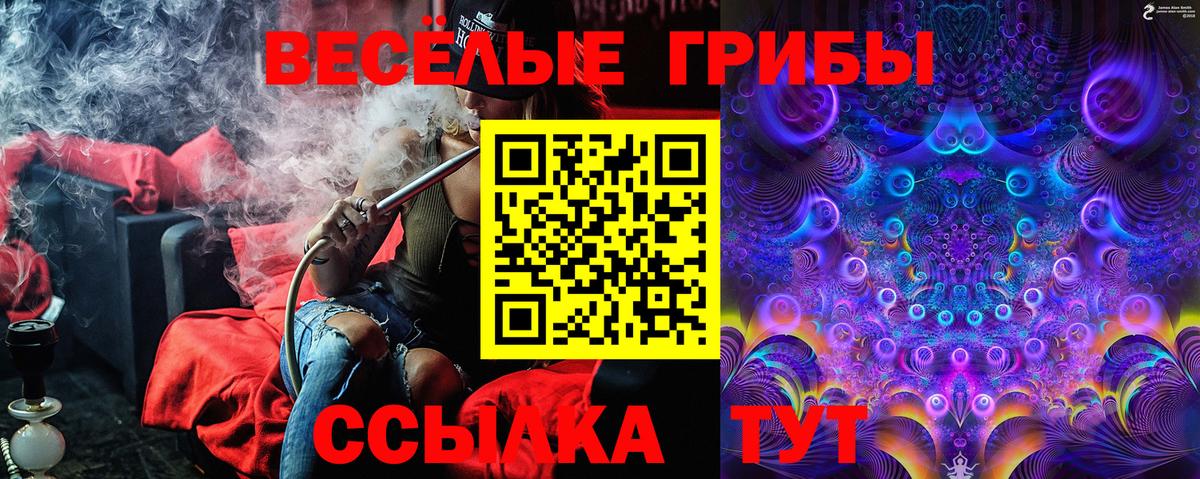 Галлюциногенные грибы ЛСД Сухой Лог