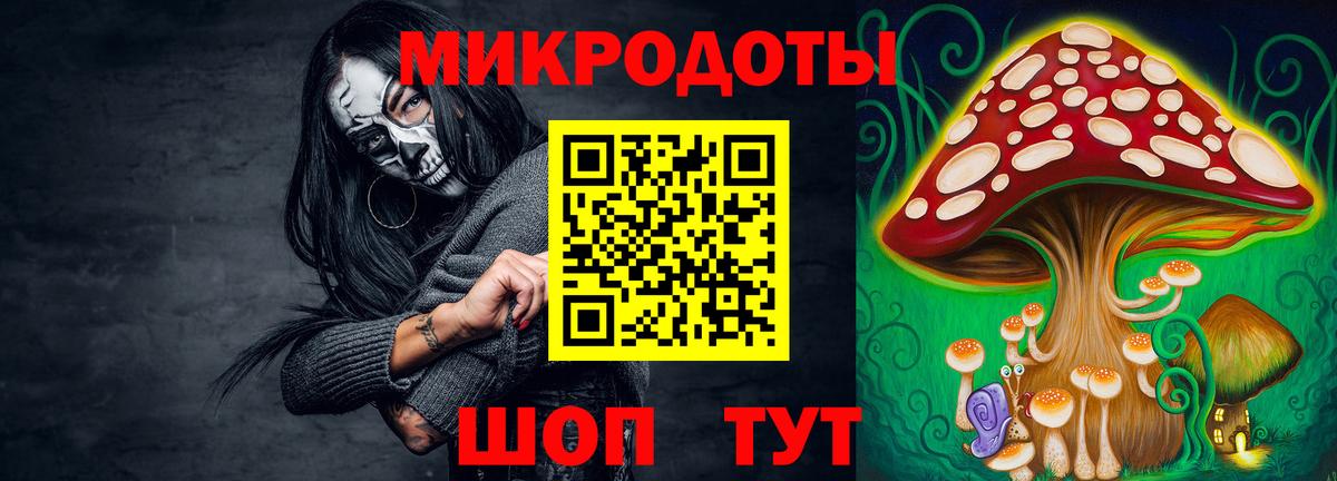 Галлюциногенные грибы прущие грибы  Вход с VPN  Сухой Лог 